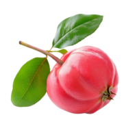 fresco rosa maçã com verde folhas em transparente fundo destacando Está vibrante cor e único forma, fresco rosa maçã isolado em transparente fundo png