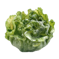 Fresh frillice iceberg lettuce arranged on a clean transparent background for culinary presentation and freshness, Frillice Iceberg Lettuce on transparent background png