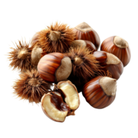 Fresh organic chestnuts on a clean transparent background showcasing their rich brown color and natural texture, Organic chestnuts on a transparent background png