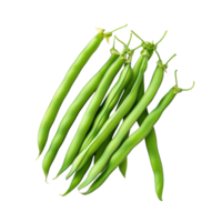 Fresh green bean seeds displayed on a clean transparent background suitable for planting or cooking, Green beans seeds on transparent background png