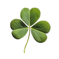 A fourleaf clover symbolizing good luck displayed on a clean transparent background, FourLeaf Clover Symbol of Good Luck on a transparent background png