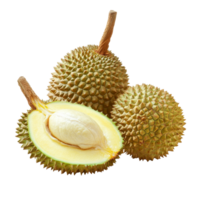 Freshly cut durian fruit halves showcasing creamy pulp on a plain transparent background, durian peels isolated on transparent background png