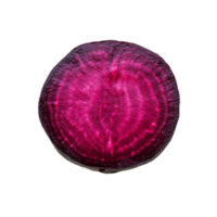 Freshly sliced beetroot showcased against a clean transparent background for culinary inspiration, slice beetroot on transparent background png