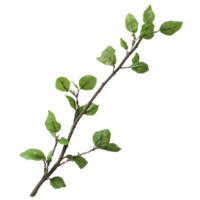 galho com fresco verde folhas em uma transparente fundo exibindo naturezas simplicidade, galho com verde folhas em transparente arquivo de fundo png