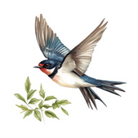 Colorful swallow bird illustration with leaves on a clean transparent background showcasing detailed botanical features, Swallow Bird Botanical Illustration on transparent background png