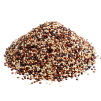A colorful pile of mixed raw quinoa grains isolated on a transparent background for culinary use, Pile of mixed raw quinoa isolated on transparent background png