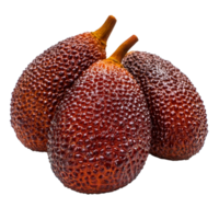 Isolated salak fruit with a textured skin on a transparent background showcasing its unique appearance and rich color, Salak isolated on transparent background png