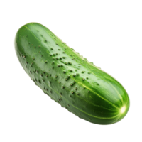 Fresh cucumber isolated on a clean transparent background showcasing its vibrant green color and unique texture in a style, cucumber isolated on transparent background png