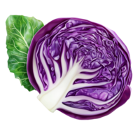 Red cabbage slice with a fresh green leaf isolated against a transparent background for culinary and dietary use, Red cabbage slice with leaf isolated on transparent background png