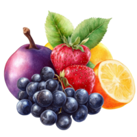 A vibrant assortment of fresh fruits on a transparent background, showcasing colors and textures of natures bounty, Guava fruit isolated on ransparent transparent background png