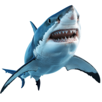 A lifelike great transparent shark stands out against a plain transparent backdrop, highlighting its fierce appearance, shark isolated on transparent background png