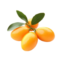 Fresh orange kumquats with green leaves arranged on a clean transparent background for culinary use or decoration, Orange kumquat isolated on transparent background png