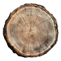 A detailed crosscut of a tree log showcasing natural striped texture on a background of light highlighting its unique, Crosscut of a tree log with striped texture on transparent backgroundfile png