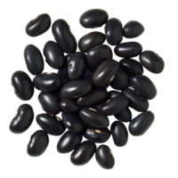 A collection of black beans neatly arranged on a transparent background for culinary use and presentation, black beans on transparent background png
