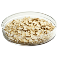 Oatmeal sample displayed on a petri dish highlighting its texture and essence under bright lighting conditions, Pile of oatmeal with essence on petri dish over transparent background png