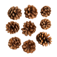 Pine cones displayed together on a clean transparent background showcasing their natural textures and forms, pine cones isolated on transparent background png