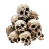 A pile of human skulls arranged artistically on a transparent background showcasing their intricate details and textures, pile of skull isolated on transparent background png