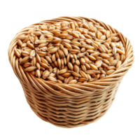 A woven basket filled with barley grains on a clean transparent background, Barley Grains in the basket on transparent background png