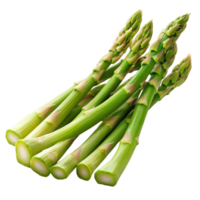 Fresh asparagus stalks isolated on a clean transparent background for culinary and dietary use, Asparagus isolated on transparent background png