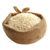 Bowl filled with uncooked transparent rice isolated against a clean transparent background, Rice in a bow isolatedl on transparent background png
