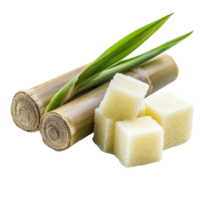 Two stalks of sugarcane with fresh leaves sit next to several sugar cubes, sugarcane and sugar cube on transparent background png