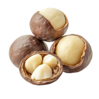 Fresh macadamia nuts in their shells and shelled, isolated on a clean transparent background for natural food presentation, macadamia nuts isolated on transparent background png