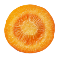 Top view of a fresh carrot slice isolated on a clean transparent background showcasing vibrant orange color and texture, Carrot slice top view isolated on transparent background png
