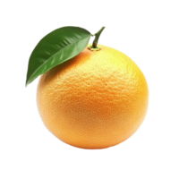 Fresh grapefruit isolated on a clean transparent background showcasing its vibrant color and natural texture, Grapefruit isolated on transparent background png