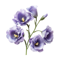 Beautiful lisianthus flower arrangement showcasing delicate purple petals on a clean transparent background, lisianthus flower isolated on transparent background png