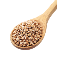 Buckwheat grains in a wooden spoon isolated on a transparent background for culinary display and nutrition focus, Buckwheat in wood spoon isolated on transparent background png