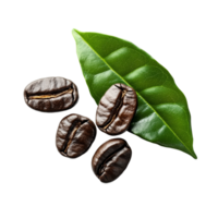 Fresh coffee beans with green leaf on a bright transparent background, showcasing vibrant colors and textures, fresh coffee beans with leaf on transparent background png