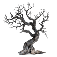 An ancient and eerie dead tree stands alone against a stark transparent background, capturing a haunting and mystical essence, old dead spooky tree isolated on transparent background png