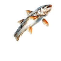 Dynamic fish leaping high against a clean transparent background, showcasing splashes of water and vibrant colors, Dynamic Fish Leaping Motion isolated on transparent background png