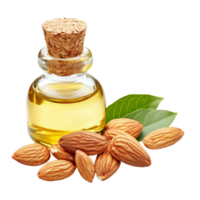 Almond oil bottle with fresh almonds and green leaves on a light background, Almond oil and almonds nuts isolated png