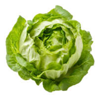 Fresh green iceberg lettuce on a pristine transparent background showcasing its vibrant color and crisp texture, Green Iceberg lettuce on transparent background png