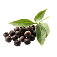 Fresh black peppercorns with green leaves isolated on a clean transparent background for culinary use and presentation, peppercorns with leaf isolated on transparent background png