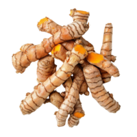 Fresh turmeric roots isolated on a transparent background with vibrant yelloworange flesh for culinary use, turmeric roots isolated on transparent background png