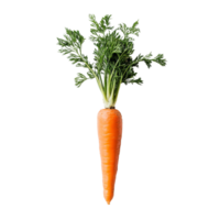 Fresh orange carrot with green tops on a transparent background showcasing natural produce details, Carrot slice top view isolated on transparent background png
