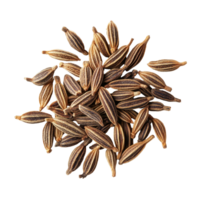 Dried caraway seeds isolated on a transparent background showing their unique shape and color variations, dried Caraway seeds isolated on transparent background png