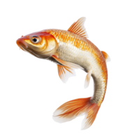 Real fish leaping in midair over a clean transparent background showcasing its vibrant colors and features, Leaping Real Fish isolated on transparent background png