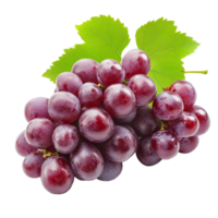 Fresh cluster of grapes isolated on a transparent background showcasing vivid colors and natural beauty, Fresh Grapes Cluster isolated on transparent background png