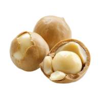 Peeled macadamia nuts arranged elegantly on a clean transparent background, showcasing their smooth texture and rich flavor, Peeled macadamia nut isolated on transparent background png