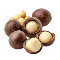 Fresh macadamia nuts displayed against a clean transparent background showcasing their natural beauty and texture, fresh macadamia nut on transparent background png