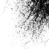 rede grunge ruído textura com intrincado padrões em uma transparente fundo exibindo abstrato Projeto elementos, rede grunge ruído textura em transparente fundo png