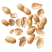 Group of unpeeled and shelled peanuts scattered on a transparent background for culinary use and nutrition exploration, Group of unpeeled and opened shell peanuts isolated on transparent background png
