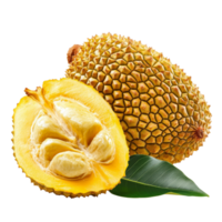 Ripe jackfruit with a leaf isolated against a clean transparent background showcasing its unique texture and color, ripe Jackfruit with leaf isolated on transparent background png