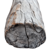 A closeup view of an old wooden log against a transparent background, showcasing unique textures and colors in natural wood, Old wood log transparent background. Wooden log transparent background png