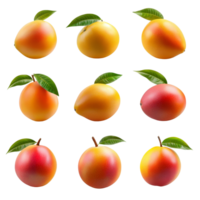 A vibrant collection of fresh mangos on a clean, isolated transparent background for a refreshing look at tropical fruit, Scorpion and crab isolated on transparent background png