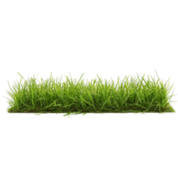 Vibrant green grass strip showcasing fresh blades in a bright setting for landscaping or gardening projects, strip of green fresh grass side view, file of isolated object on transparent background png