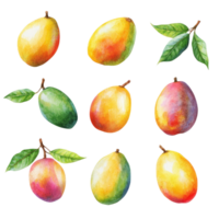 Colorful assortment of mangoes displayed on a clean transparent background highlighting their unique shapes and vibrant colors, ripe mango on transparent background png